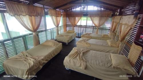 4 camas en una habitación con cortinas y ventanas en Alojamiento LETICIA, en Leticia