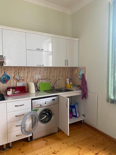 una cocina con lavadora y fregadero en Baku Garden House, en Baku