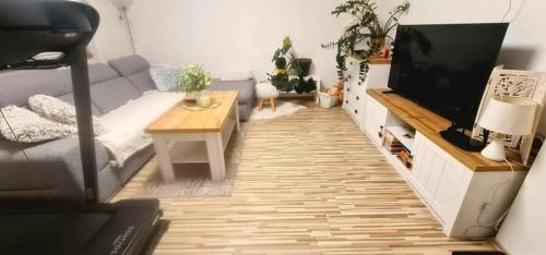 TV a/nebo společenská místnost v ubytování Apartmán MIKA
