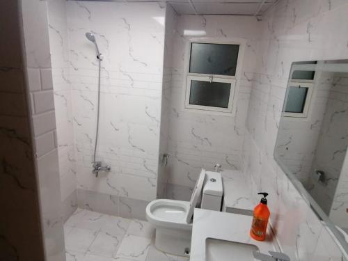 Vannituba majutusasutuses Full Apartment CBD 2