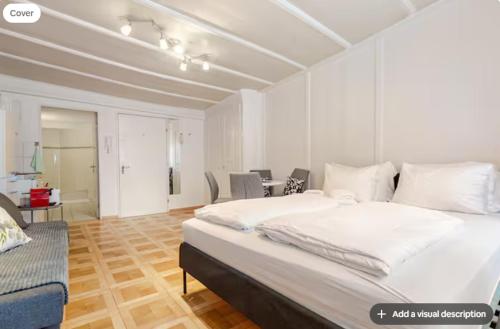 City Center Apt With AC in Zurich Old Town