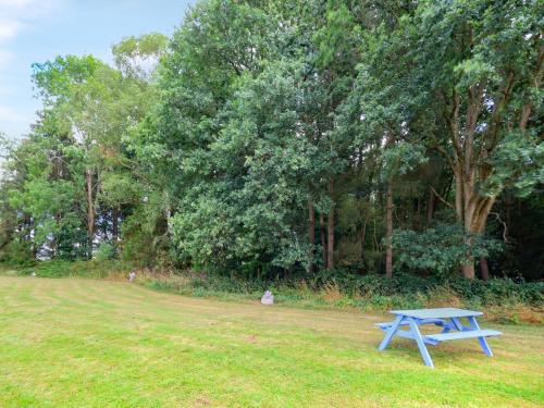 a blue picnic table in the grass in a park at Sumner Lodge in Kyre Magna