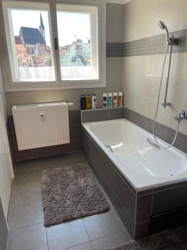 a bathroom with a bath tub and a window at Apartmán v centru Krumlova in Český Krumlov