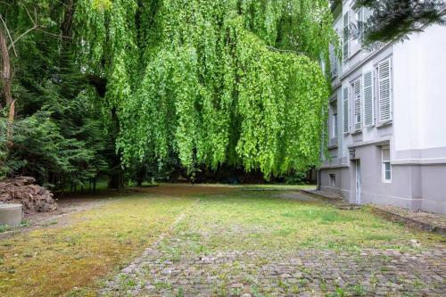 a large weeping willow tree next to a building at Studio Maison de Maître, Parking sur Place privé Free, MULHOUSE CENTRE in Mulhouse