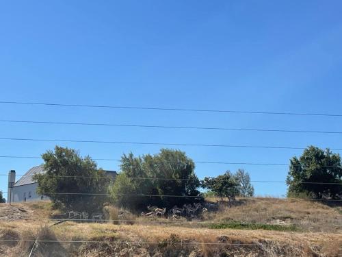 a house on top of a hill with trees at Sunny Side Haven in Faure