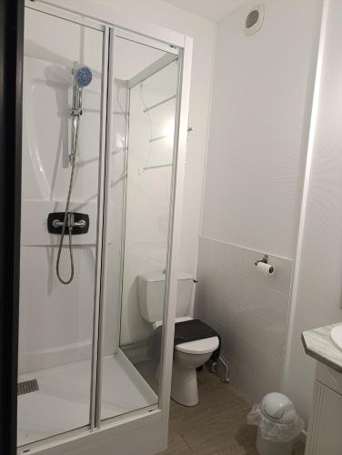 a bathroom with a toilet and a glass shower at LE NEW FLORIMONT in Chaumont