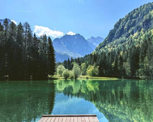 a lake in the middle of a forest with mountains at Cassa Midas by the forest in Zgornje Jezersko