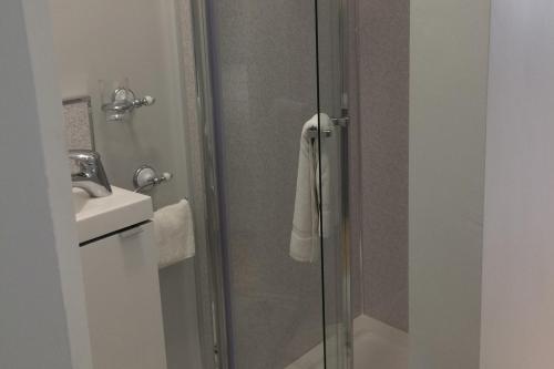 a shower with a glass door next to a sink at Apartment - Sleeps 2 - Wood Fire - Parking in Cullyhanna