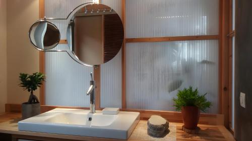 un baño con lavabo y espejo en Gite Dilos, en Rébénacq