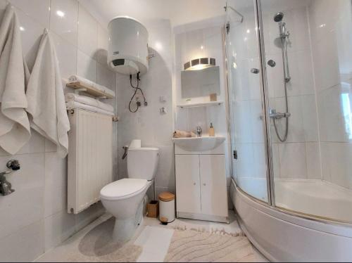 a bathroom with a toilet and a shower and a sink at Chillout Apart pod Górą Zamkową in Wleń