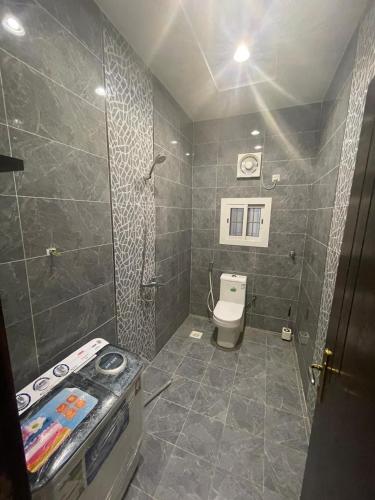 吉达Apartment with bedroom, living room and courtyard C-1的带马桶和水槽的小浴室