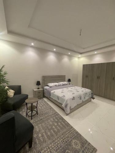吉达Apartment with bedroom, living room and courtyard C-1的一间卧室配有一张床、一把椅子和一张沙发