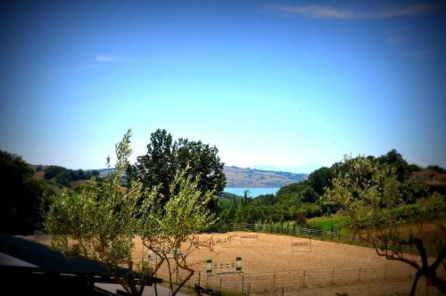 Agriturismo Yes Boss – Photos 3
