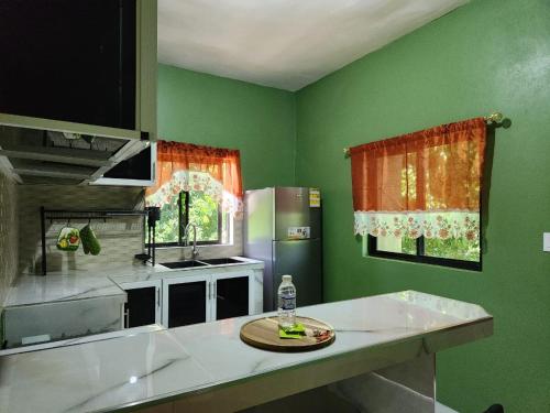 a kitchen with green walls and a white counter top at Louise's Hideaway in Black River