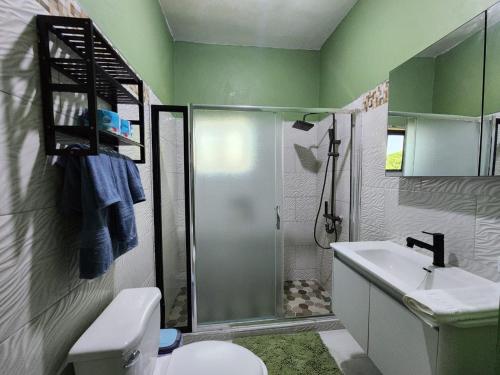a bathroom with a shower and a toilet and a sink at Louise's Hideaway in Black River