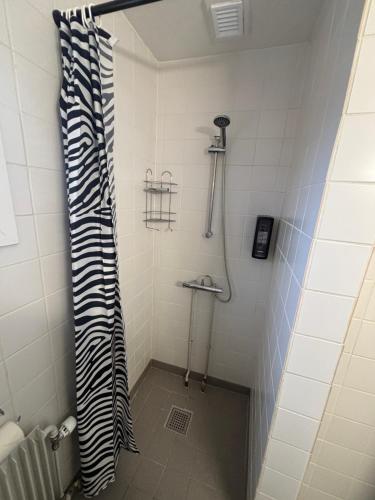 Ένα μπάνιο στο Nuuk City Apartments