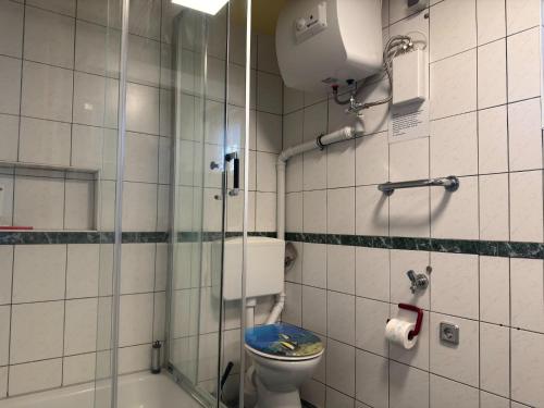 a bathroom with a toilet and a glass shower at Ferienhaus mit Kamin in Sternberg in Sternberg