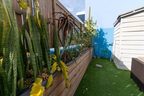 Mexico Suite- Private terrace. Air conditioned