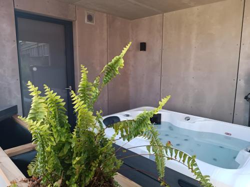 Φωτογραφία από το άλμπουμ του O Petit Jardin σε Cholet