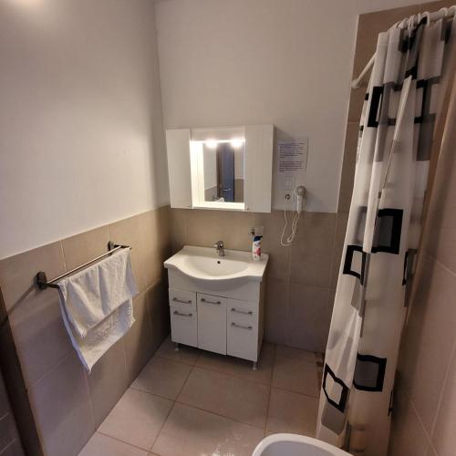 a bathroom with a sink and a toilet and a shower at Central 3 Budget Accomodation in Bucharest