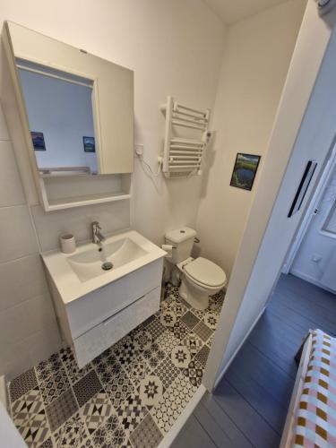 a bathroom with a sink and a toilet at Appartement F2 5A in Martres-de-Veyre