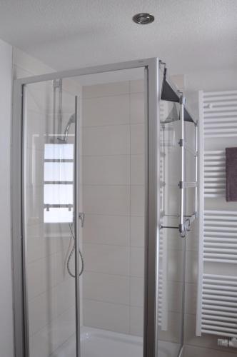 a shower with a glass door in a bathroom at Kiefer-Apartments in Rust