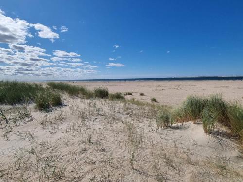 a sandy beach with grass and weeds on it at Exclusive Retreat with Spa - By Traum Ferienwohnungen in Rømø Kirkeby