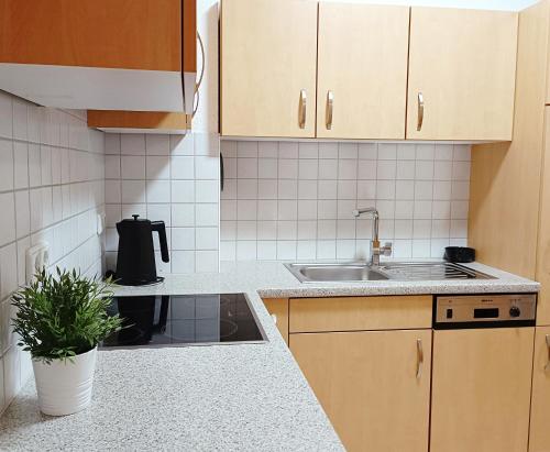 a kitchen with wooden cabinets and a sink and a plant at TauberNest in Bad Mergentheim
