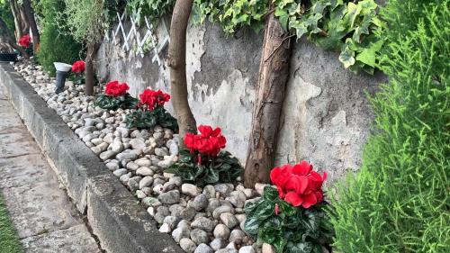 a row of red flowers sitting on rocks next to a wall at Pompei Duplex Apartment Deluxe in Boscoreale