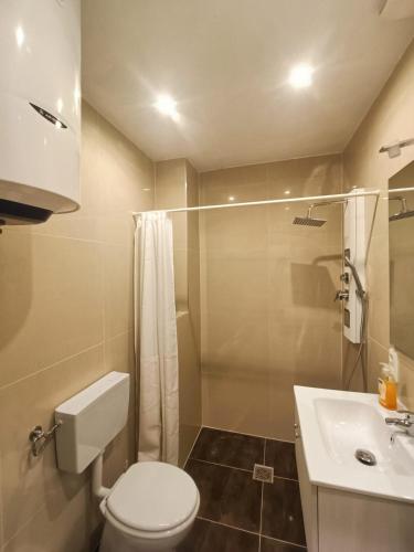 a bathroom with a shower and a toilet and a sink at ZeitWinkelHaus - Apartments with garden in Bad Sooden-Allendorf