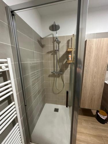 a shower with a glass door in a bathroom at Pigonia T2 récent, confort et design à Furiani - à la nuitée in Furiani