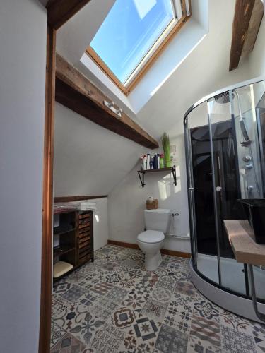 a bathroom with a toilet and a skylight at Gîte 3 du Château de Feschaux in Villeneuve-sous-Pymont