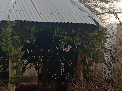 een tuinhuisje met een bos planten bij P plus lodge in Iringa