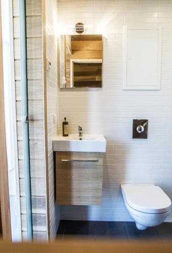 a bathroom with a white sink and a toilet at Contemporary design lake cabin in Otepää
