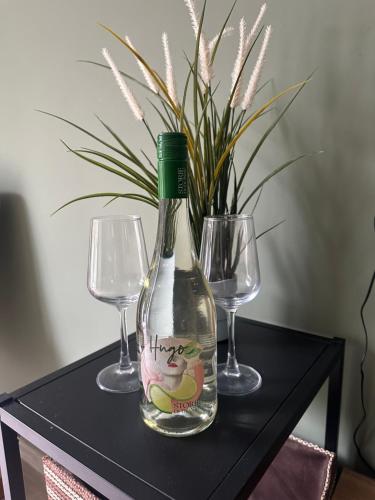 Apartamenty Golden Times Kowalska 8