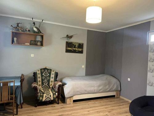 ein Schlafzimmer mit einem Bett, einem Stuhl und einem Vogel an der Wand in der Unterkunft Cottage Qorbuda in Saguramo