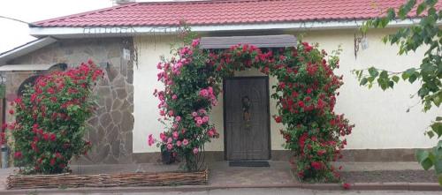 Κήπος έξω από το Уют