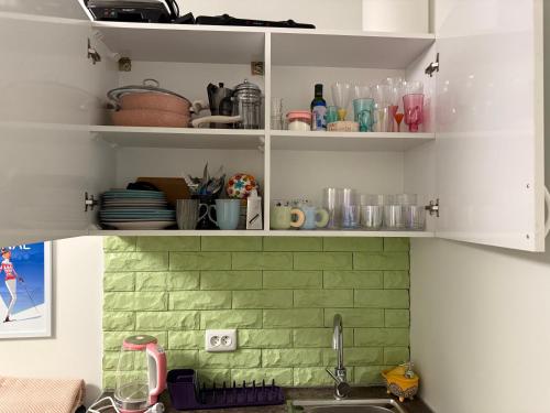グダウリにあるGudauri Loft Apartment 416の緑のレンガの壁、シンク付きのキッチン