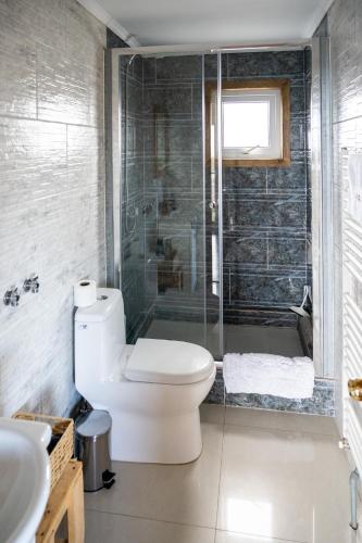 a bathroom with a toilet and a shower at Cabañas Sierra Dorotea in Puerto Natales