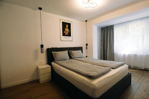 een slaapkamer met een groot bed met een raam bij DaVinci Apartment with Self Check-In in Târgu-Mureş