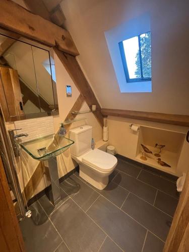 a bathroom with a toilet and a sink and a window at Welsh Apple Barn in Chepstow