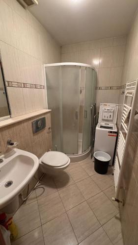 a bathroom with a shower and a toilet and a sink at Park & Stay Central in Piešťany