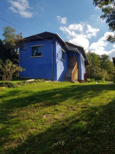 a blue and white house with a grass yard at Casa La Casiru 17 in Straja