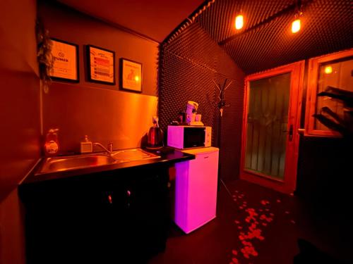 una cocina con fregadero y microondas en L'antre du desir love room, en Souppes-sur-Loing
