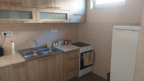 Una pequeña cocina con fregadero y estufa. en Astra, en Bečej