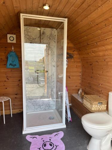 a bathroom with a shower with a toilet and a rug at Rivendell Glamping Pods in Holsworthy