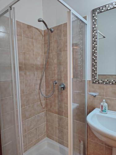 a bathroom with a shower and a sink at Il Tulipano sul Lago in Colle di Tora