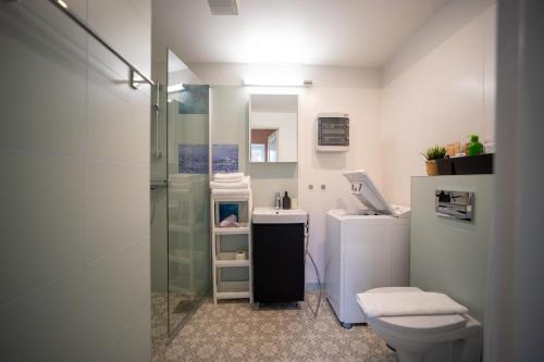 Un baño con ducha, inodoro y lavabo. en Charming Lahemaa national park Studio apartment for Nature Lovers, en Kolga