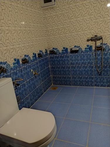 メルズーガにあるSahara Dream Apartmentのトイレとシャワー付きのバスルーム