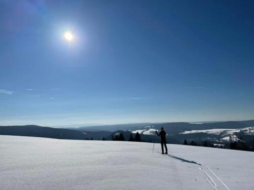 una persona en esquís sobre una ladera cubierta de nieve en Apartmán Schwaderbach, en Bublava